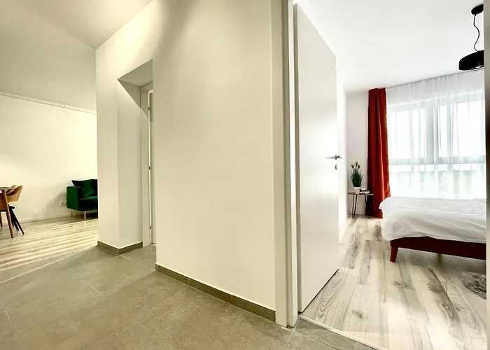 Sunset View * 티미쇼아라