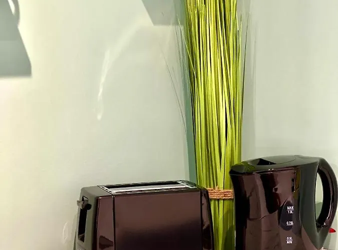 Sunset View 티미쇼아라